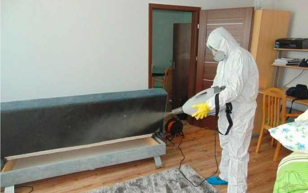 ФОТО Уничтожение блох в Малаховке