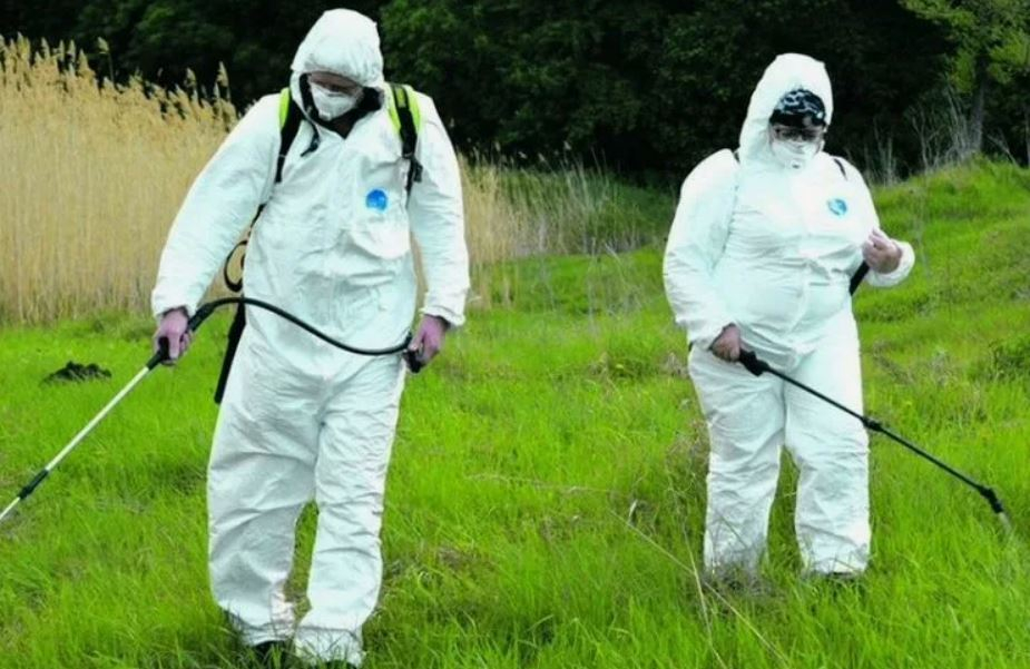 ФОТО Обработка от клещей в Малаховке