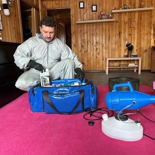 ФОТО Дератизация в Малаховке