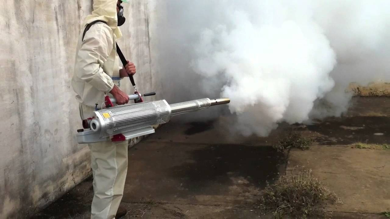 ФОТО Уничтожение мух в Малаховке