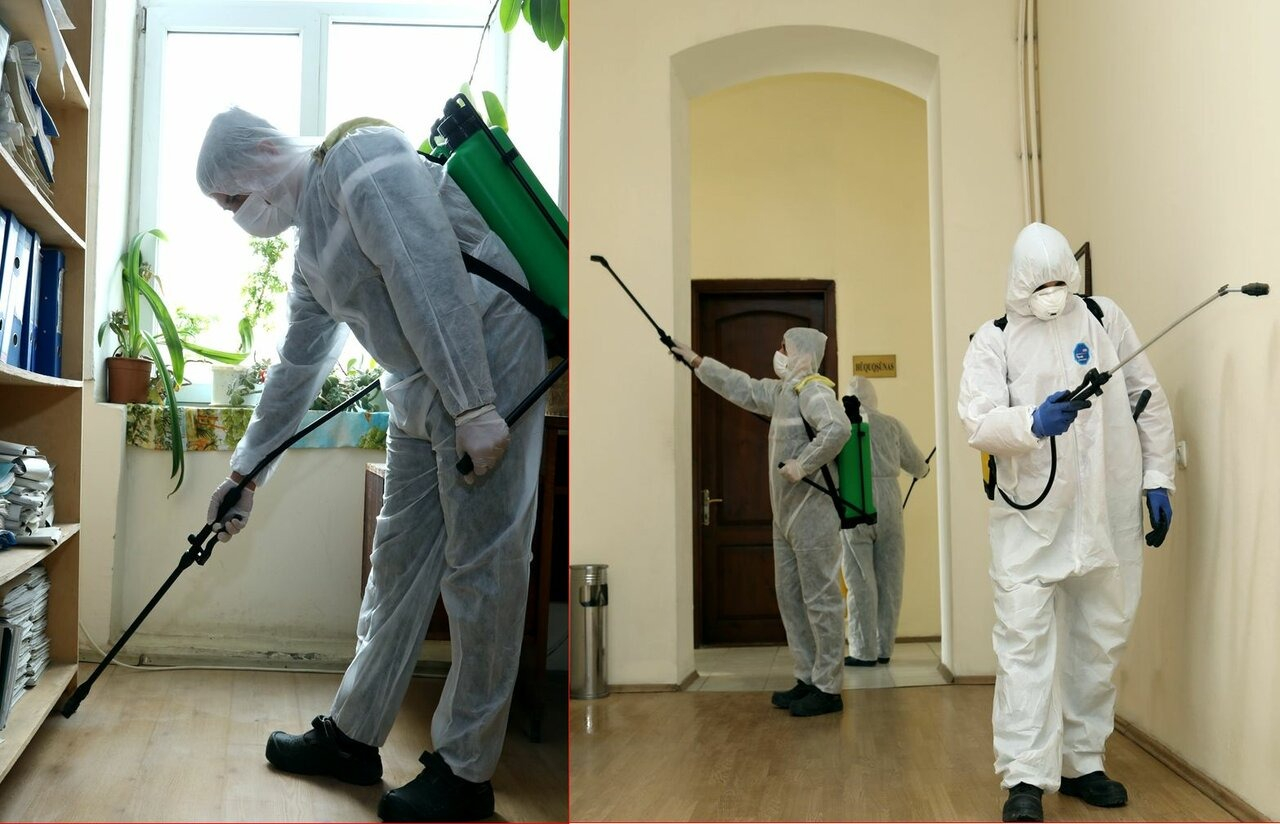 ФОТО Требуется ли лицензия для дезинсекции и дезинфекции в Малаховке? | подробно