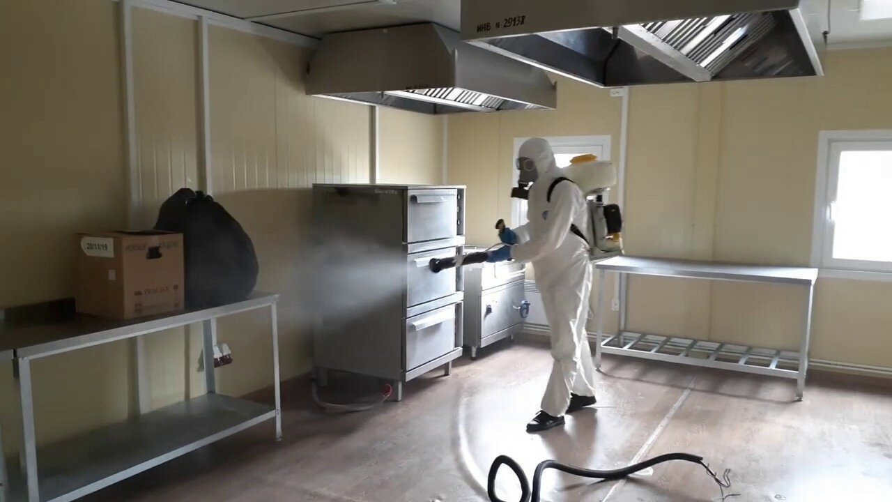 ФОТО Можно ли провести дезинсекцию самостоятельно и какие существуют риски в Малаховке? | подробно