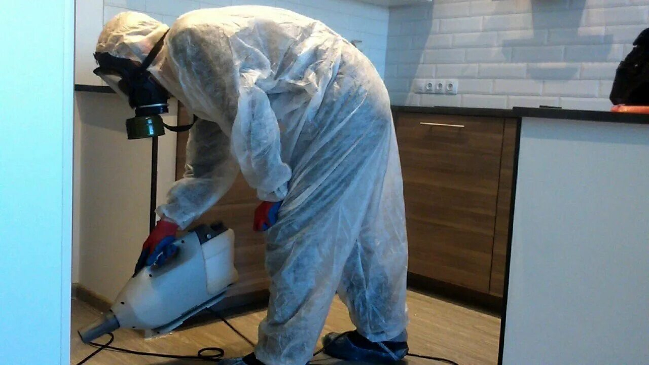 ФОТО Как подготовить домашних животных к обработке от насекомых в Малаховке? | подробно