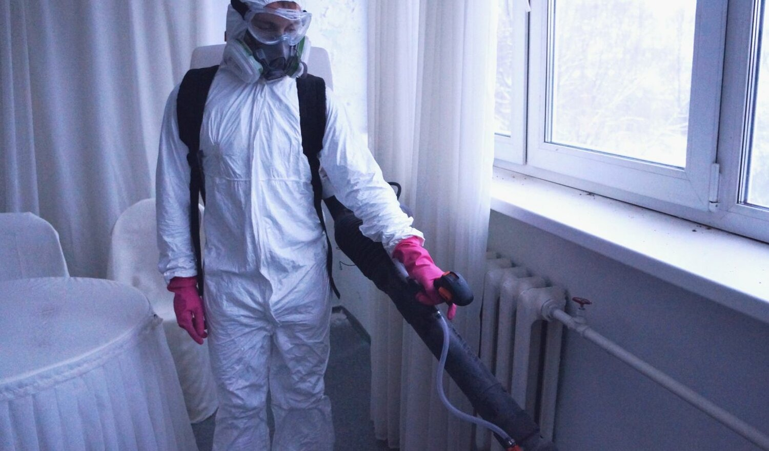 ФОТО Нужно ли выносить растения при дезинсекции в Малаховке? | подробно