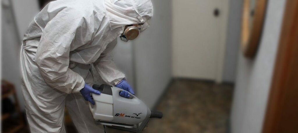 ФОТО Остаются ли следы после обработки квартиры от насекомых в Малаховке? | подробно