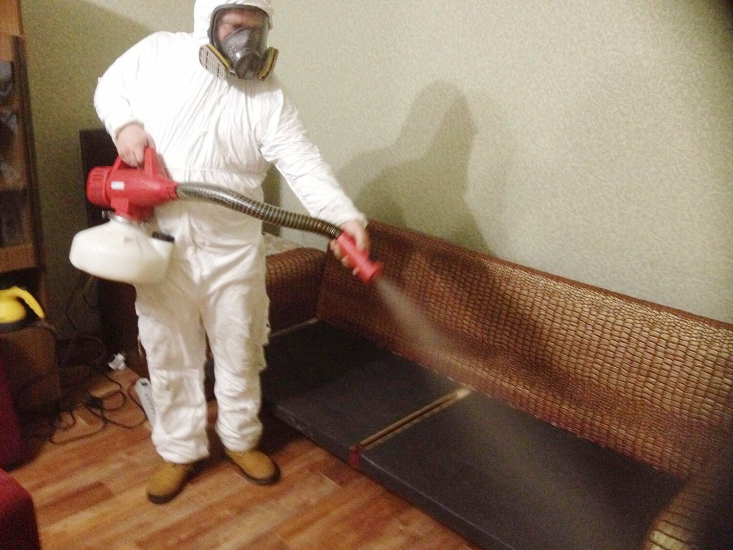 ФОТО Когда можно вернуться в помещение после дезинсекции в Малаховке? | подробно