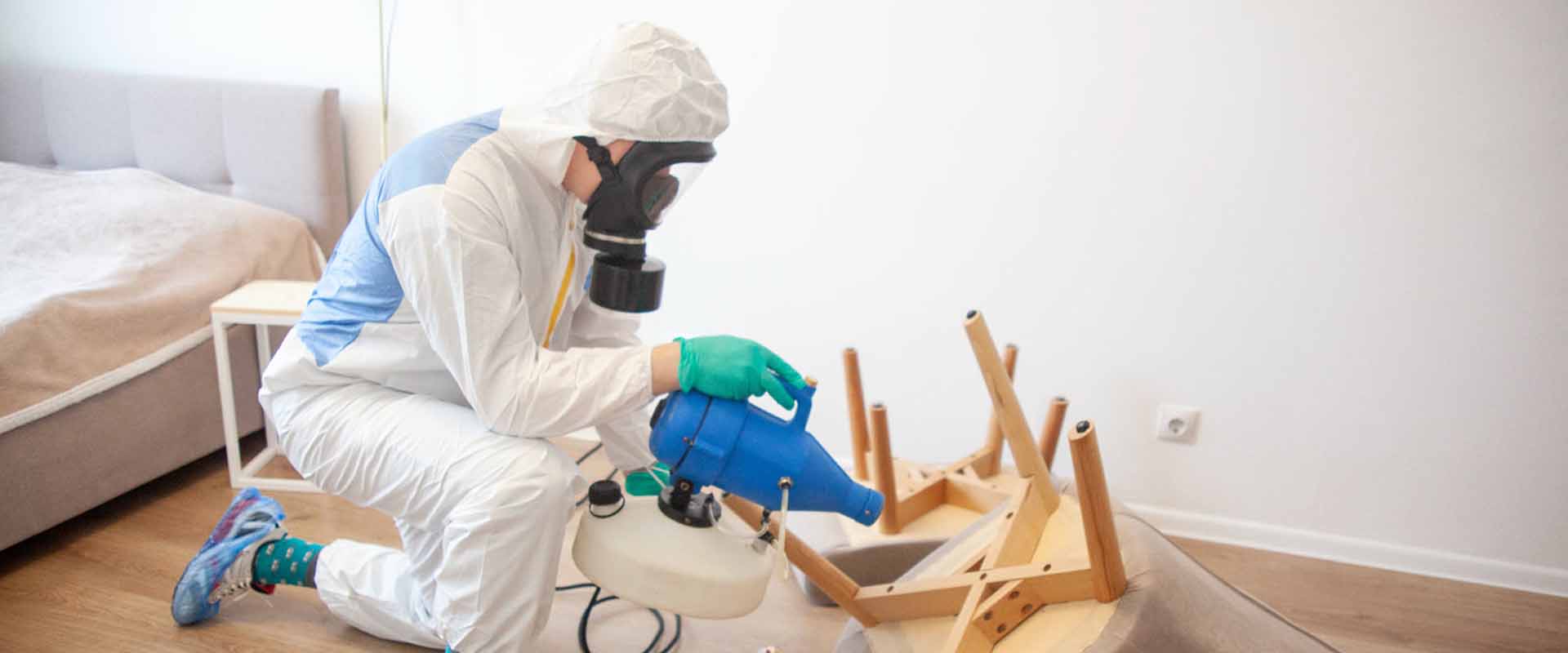 фото: Уничтожение постельных клопов с 1-го раза с гарантией за 30-60 мин. в Малаховке без предоплаты