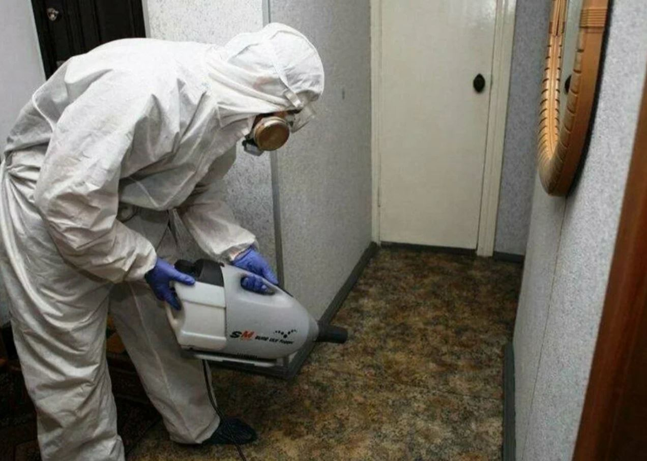 фото: Профессиональная дезинсекция в Малаховке: <br/>+7-909-173-42-96