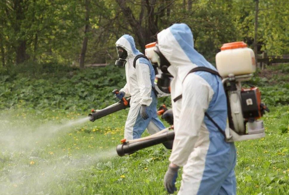 фото: Профессиональное уничтожение мух в Малаховке: <br/>+7-909-173-42-96